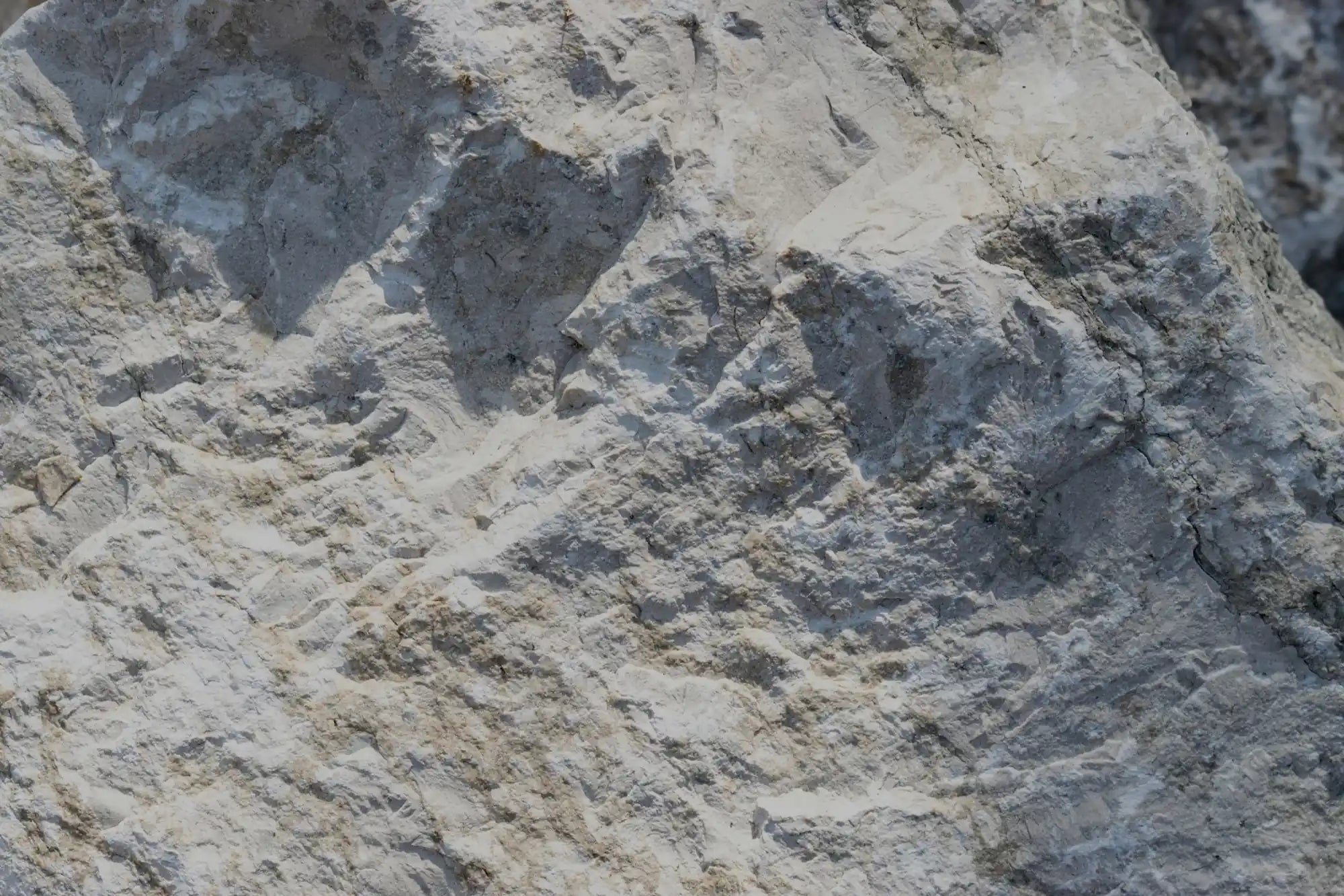 Nahaufnahme des weißen Sandsteins der hochwertige Wandverkleidung von stonearts®.